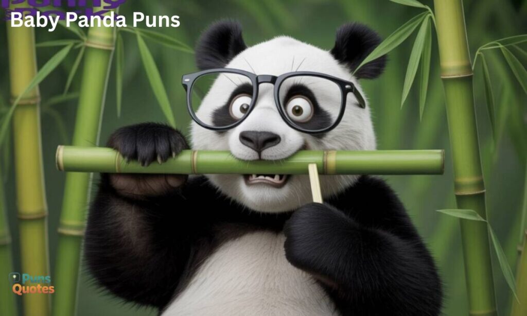 Baby Panda puns
