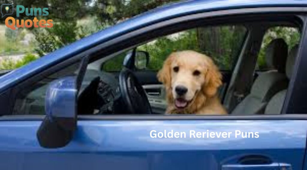 Golden Retriever Puns