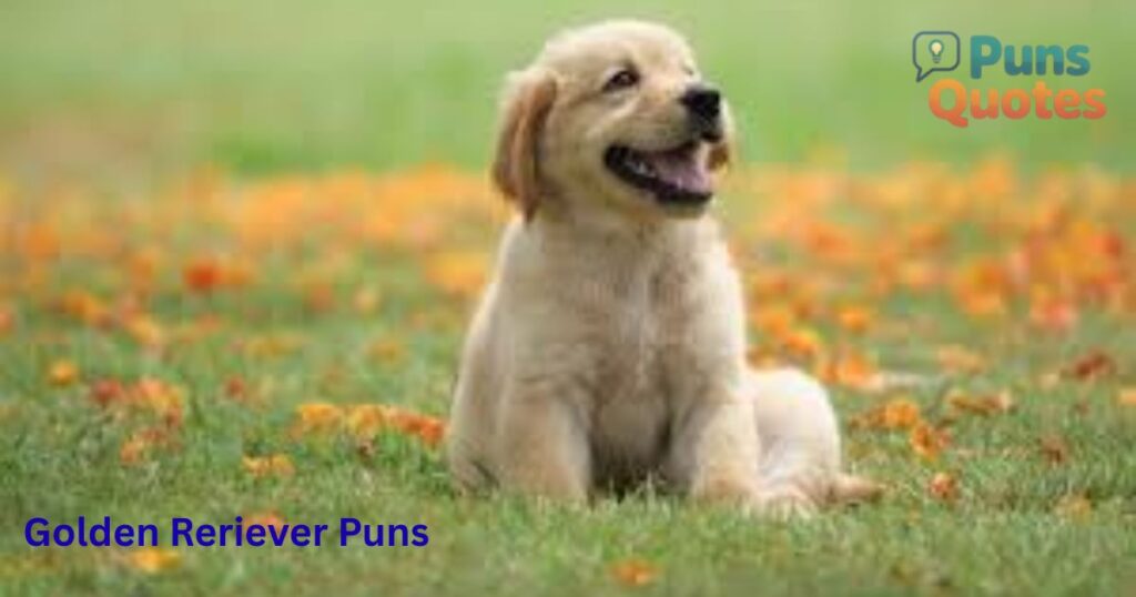 Golden Retriever Puns