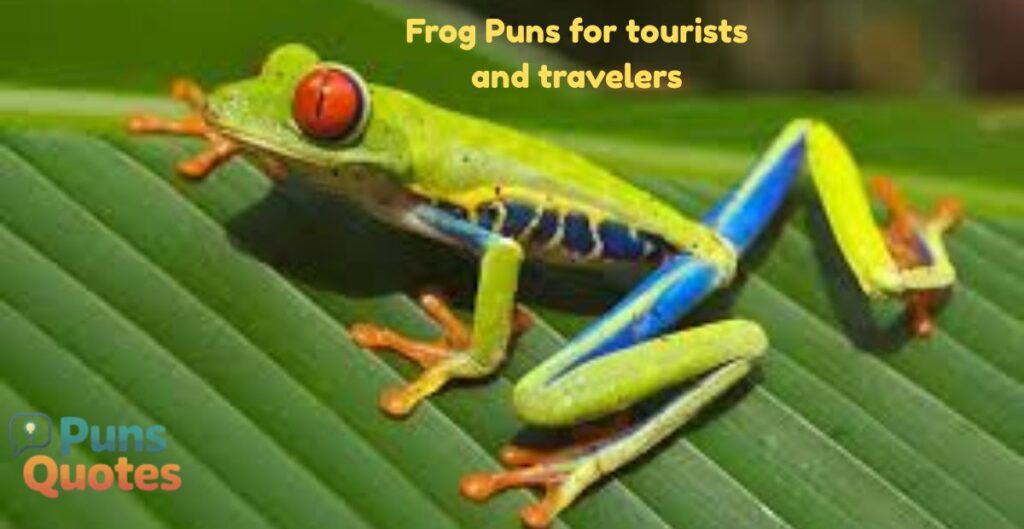 frog-puns-for-tourists-and-travelers
