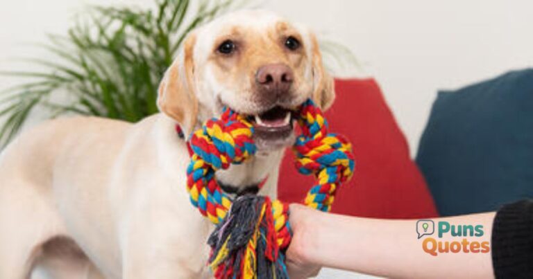 250-labrador-puns-thatll-make-you-bark-with-laughter-2026